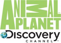 Discovery Animal.jpg Discovery Animal.jpg